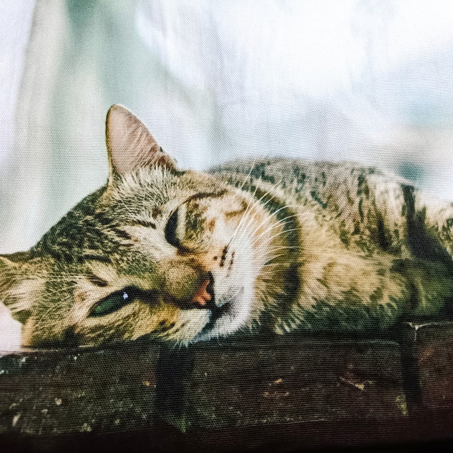 猫フォト キャンバス大判トートバッグ(PUレザー持ち手)