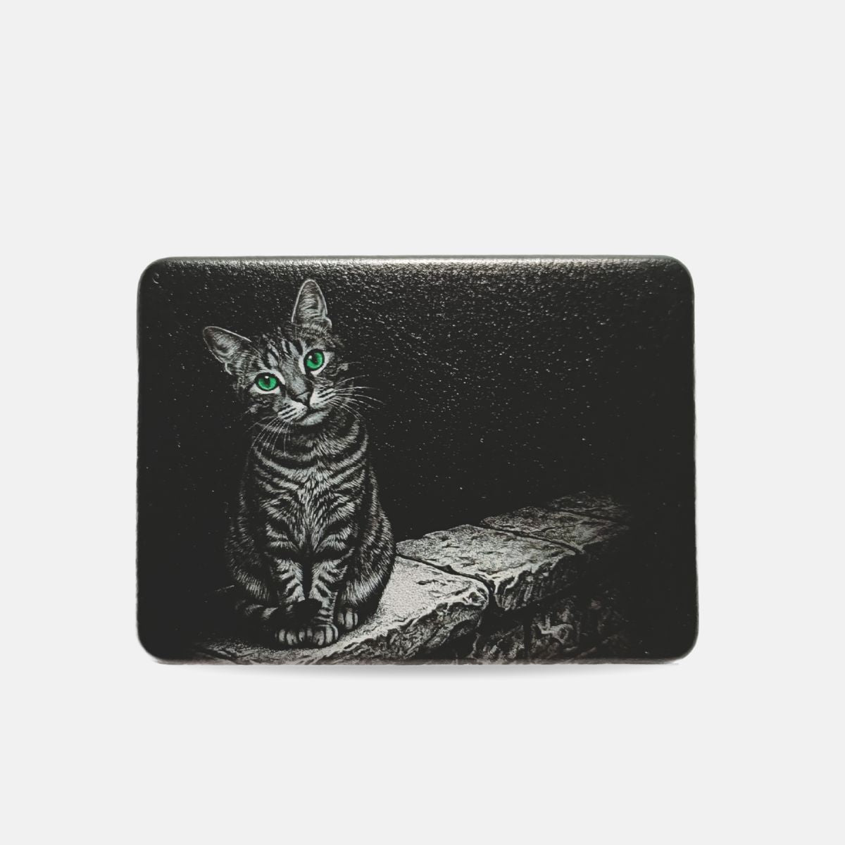塀の上の野良猫