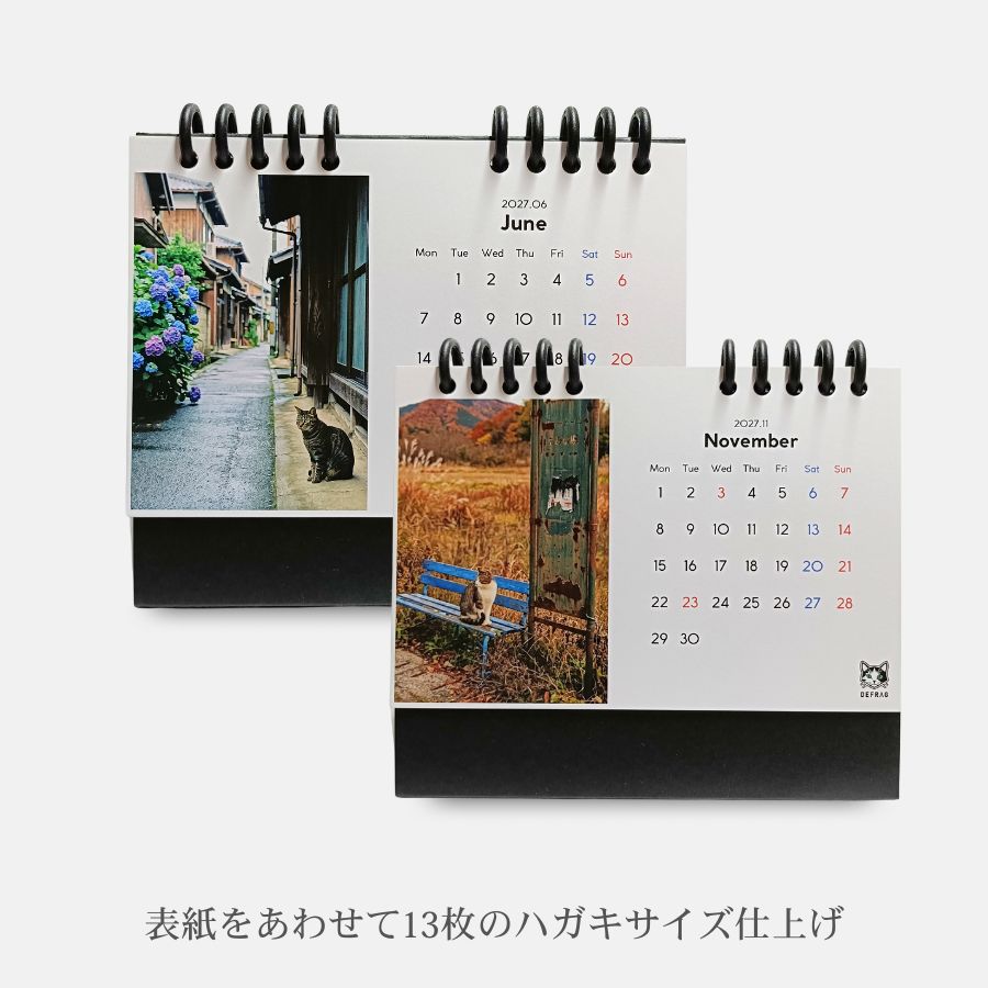 【予約販売】2027年 卓上カレンダー｜港町の野良猫たち