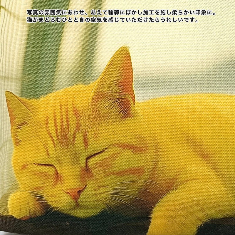 リアル猫フォト大判トートバッグ（黄昏タビー＆空猫ブルー）
