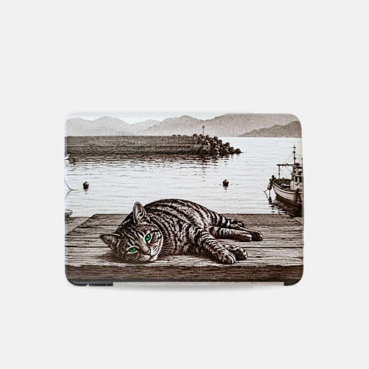 寝そべる野良猫