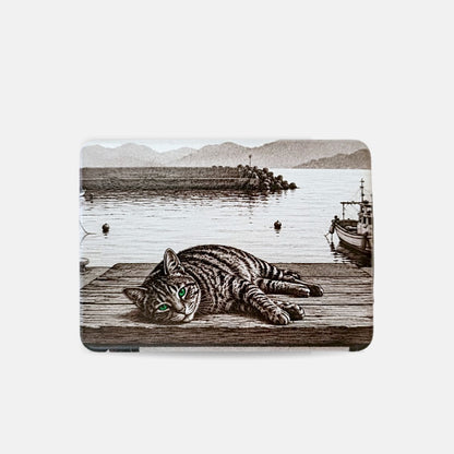 寝そべる野良猫
