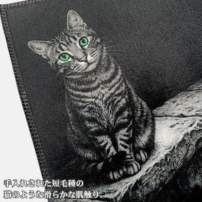 マイクロファイバータオルハンカチ（塀の上の猫）