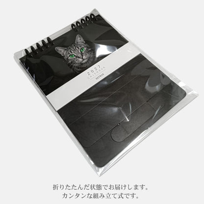 【予約販売】2027年 卓上カレンダー｜港町の野良猫たち