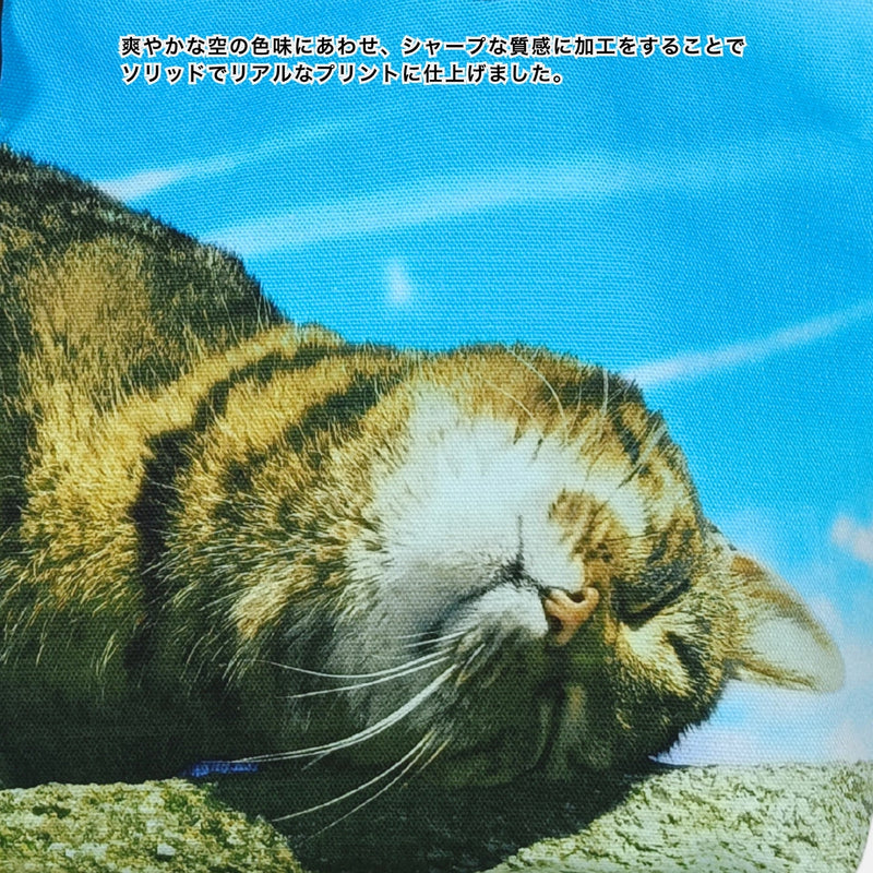 リアル猫フォト大判トートバッグ（黄昏タビー＆空猫ブルー）