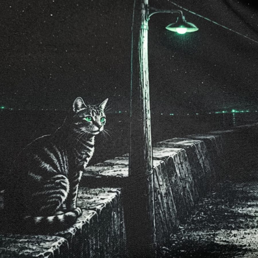 【予約限定デザイン】星降る波止場の野良猫。