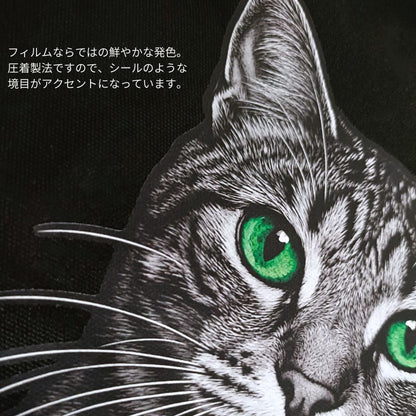 【予約販売】キジトラフェイス｜2WAYライトキャンバスショルダートート