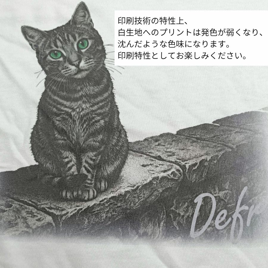 白Tシャツにプリントされた猫と石段のアップ