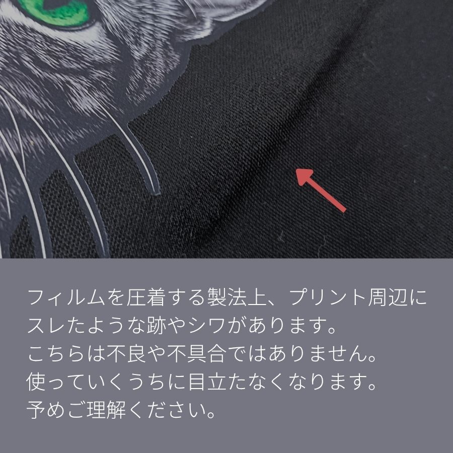 【予約販売】キジトラフェイス｜2WAYライトキャンバスショルダートート