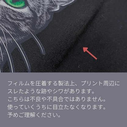 【予約販売】キジトラフェイス｜2WAYライトキャンバスショルダートート