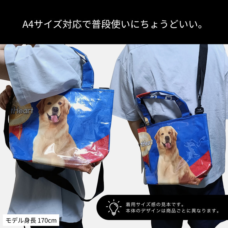 チワワ/ポメラニアン/マルチーズ A4対応2Wayショルダートートバッグ《AU-24-25》
